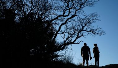 Free car entry to California state parks on Martin Luther King Day – NBC Los Angeles