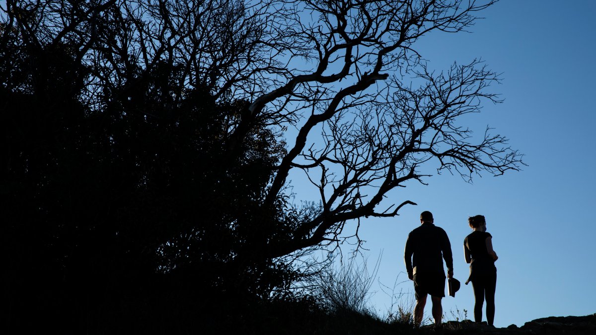 Free car entry to California state parks on Martin Luther King Day – NBC Los Angeles