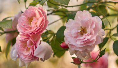 The Huntington reflects on community, peace, and hope following the fires – NBC Los Angeles