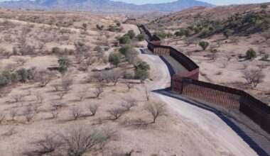 Mexico extradites 37 cartel members, including to San Diego – NBC 7 San Diego