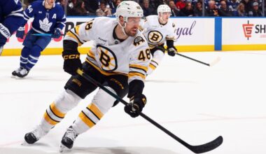 Ducks add wing depth, acquire Jeffrey Viel from Bruins – Orange County Register