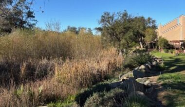 SDCE condos have insurance canceled; HOA board pays $900,000 to settle 2024 lawsuit – San Diego Union-Tribune