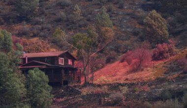 Trump order targets rebuilding after California wildfires, Newsom seeks money instead