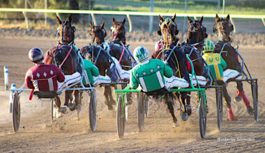 Fresno becomes California’s only approved harness racing venue