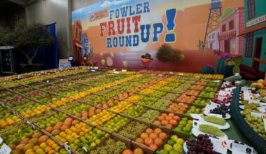 The Big Fresno Fair | Blog