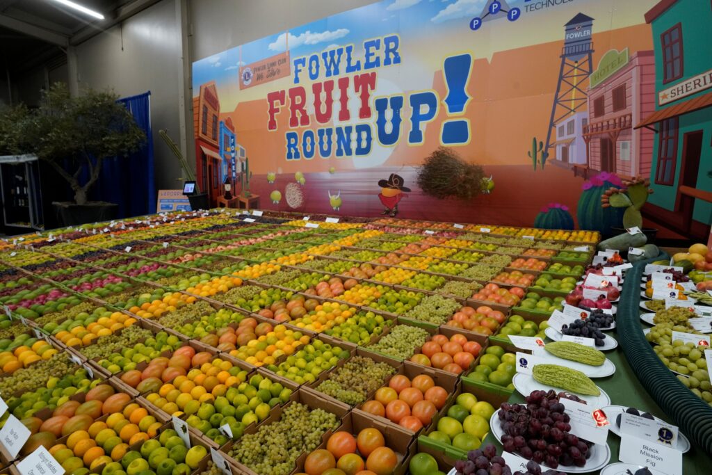 The Big Fresno Fair | Blog