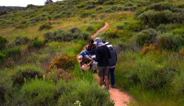 Mountain Biking and Outdoor Activities