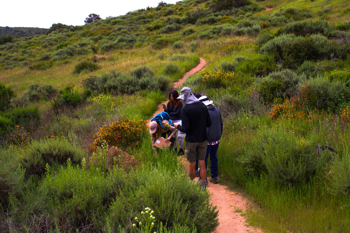 Mountain Biking and Outdoor Activities