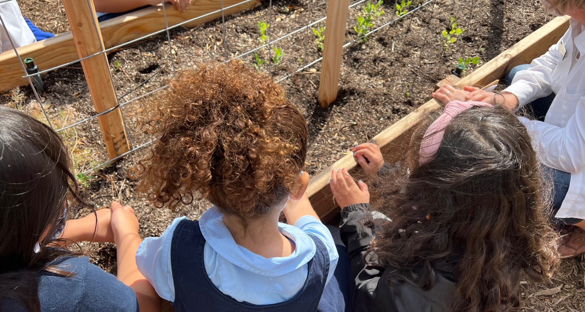 Healthy Active Long Beach programs shuttered due to federal funding cuts