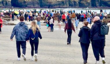 Huge crowds crawling around tide pools cause concern in La Jolla