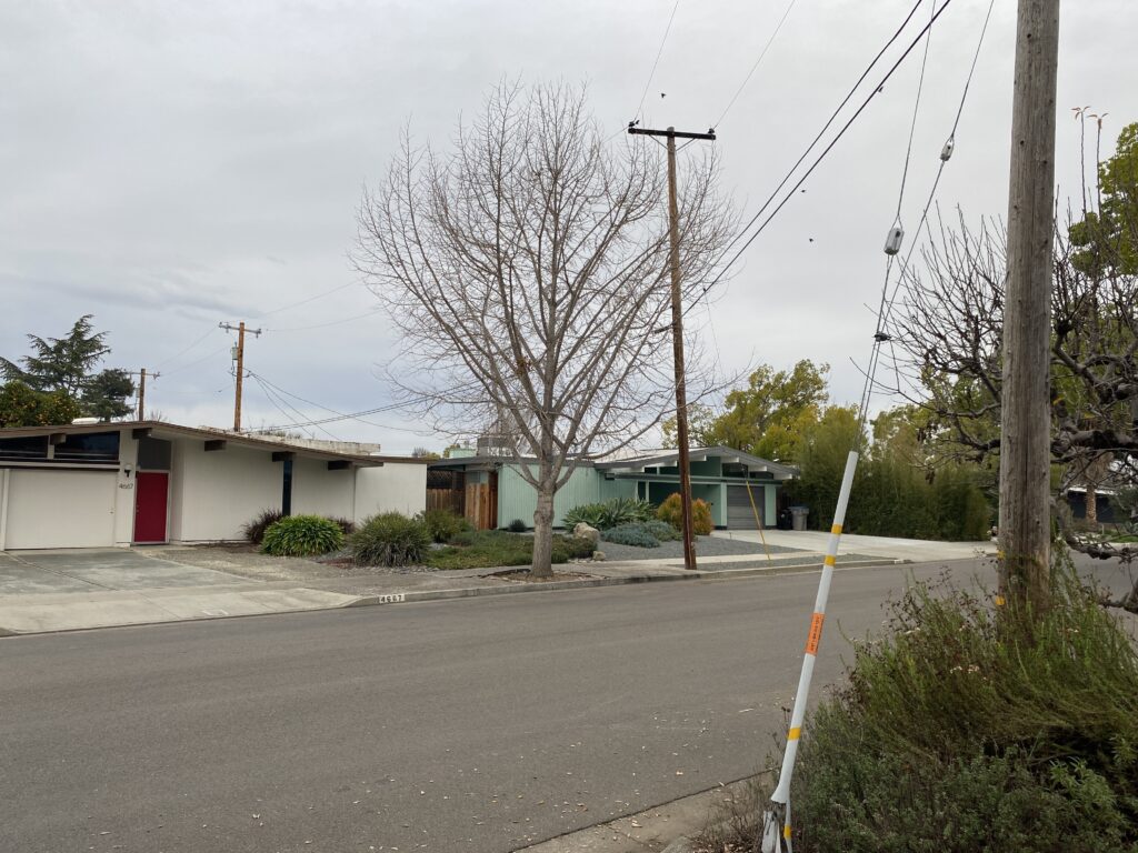 Power lines cross a street and pass over suburban homes.