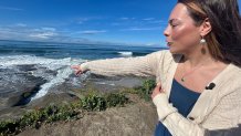 Savannah Ekelem points to some of the La Jolla tide pools she has studied and continues to advocate   for ocean protections, Monday, La  Jolla, Calif., January 5, 2026.
