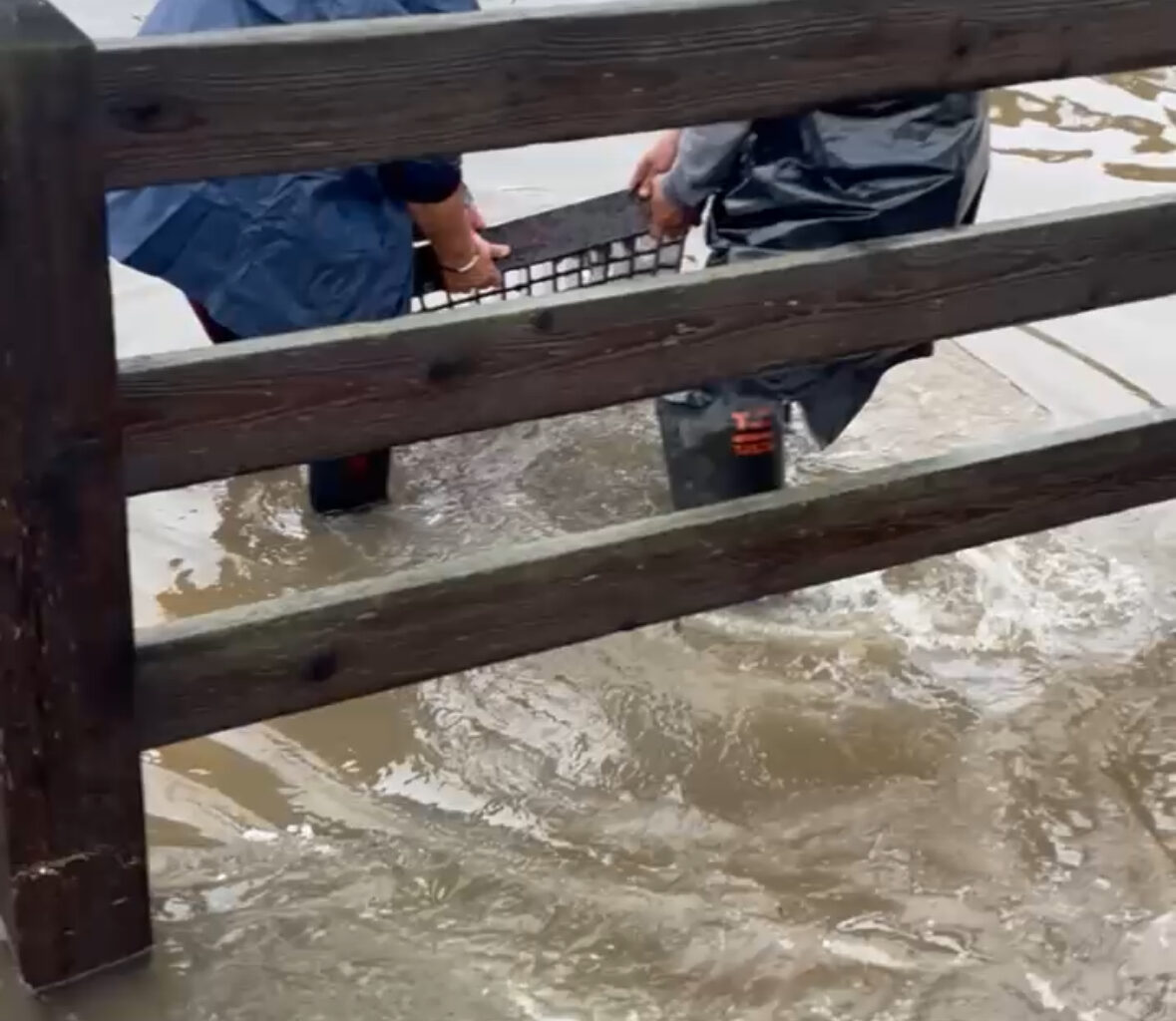 Two individuals remove the grate from a storm drain at Birch and Beta Streets in Southcrest. / Brenda de la Mora Jan. 1, 2026