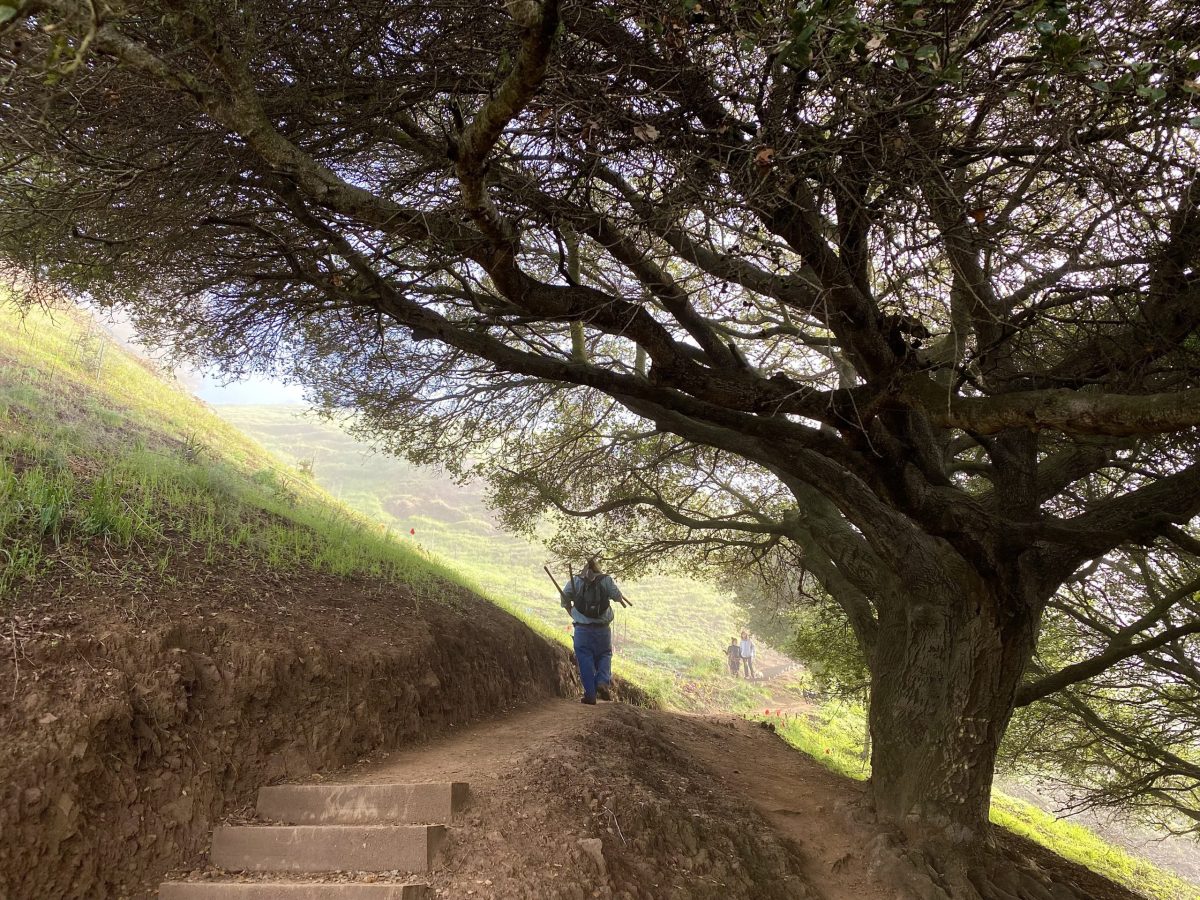 Remembering Steve Glaeser, who did the heavy lifting to make paths in the Berkeley Hills