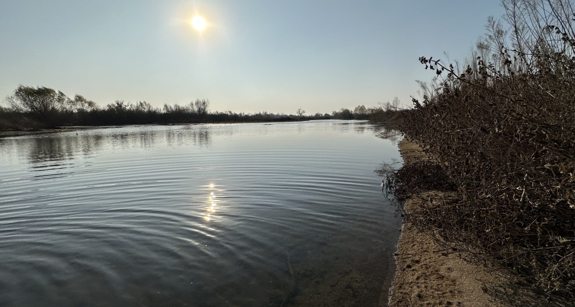 Bakersfield water chief to retire and private water company gets new leader – SJV Water