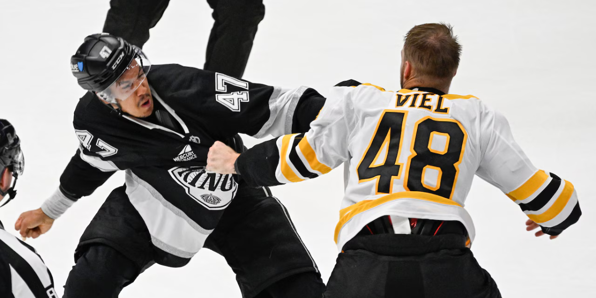 Jeffrey Viel Boston Bruins