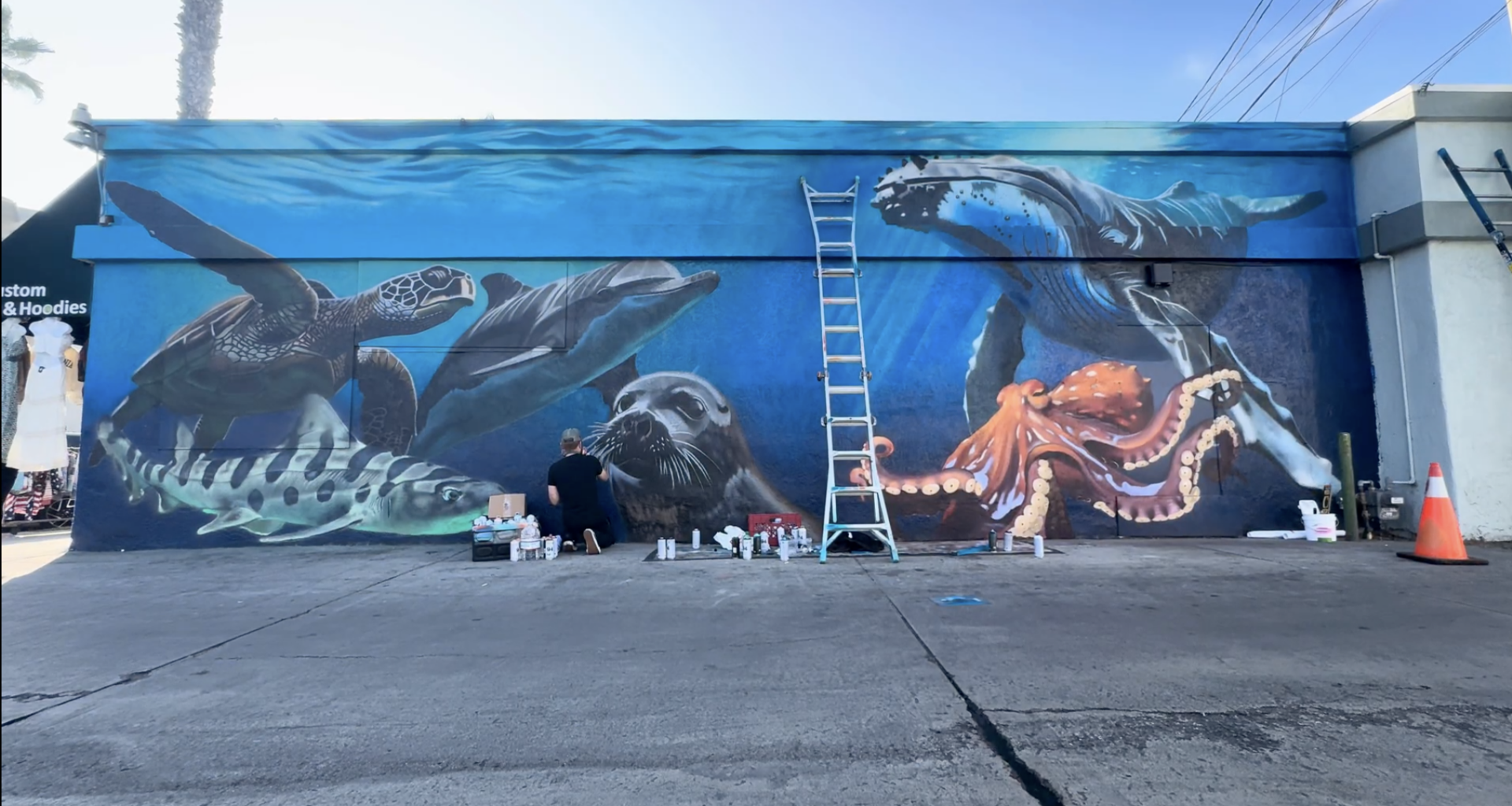 New Wildcoast mural in Pacific Beach highlights marine wildlife