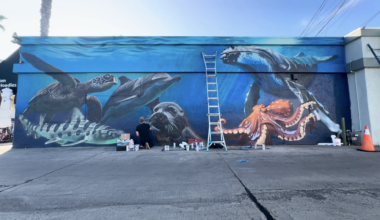 New Wildcoast mural in Pacific Beach highlights marine wildlife