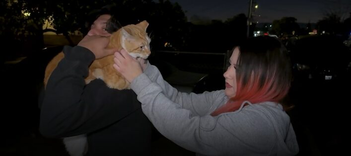 A friendly neighborhood cat is recovering after being shot by a crossbow in San Jose. (KGO via CNN ...