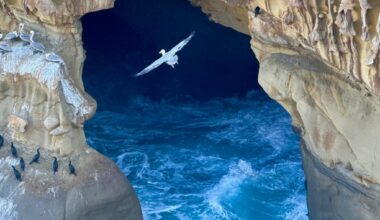 Looking at La Jolla through our readers’ eyes – San Diego Union-Tribune