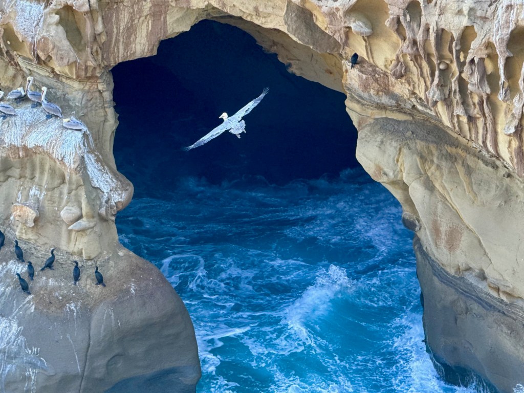 Looking at La Jolla through our readers’ eyes – San Diego Union-Tribune