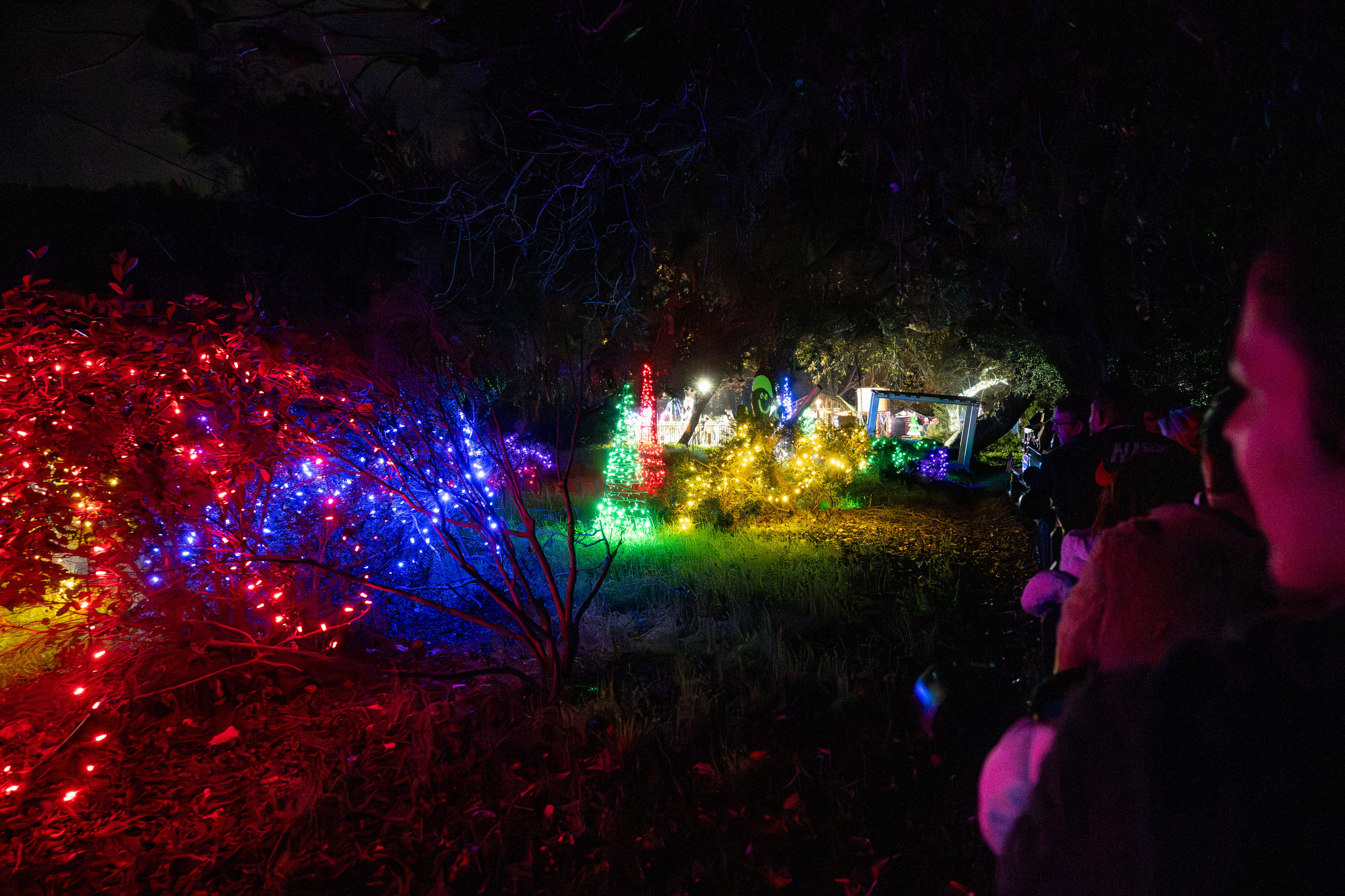 Passengers are surrounded by lights on a tour of holiday...