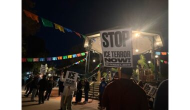 LA demonstrators want ICE officer charged with murder after fatal immigration shooting in Minneapolis – Daily News