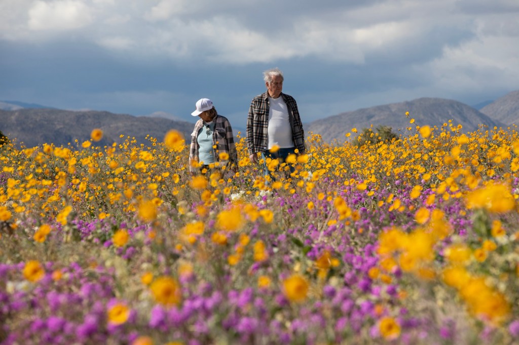 Heading to a state park Monday? You can get in for free – San Diego Union-Tribune