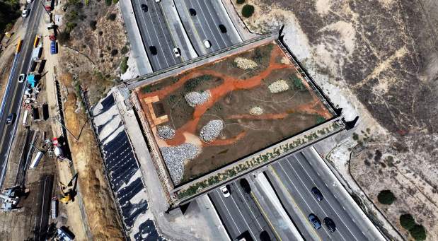 Native plants are being placed on the Wallis Annenberg Wildlife Crossing in Agoura Hills. Seen here on Wednesday, Oct. 21, 2025 is the structure which stretches over the 101 Freeway is the start of the planting of 5,000 plants over the next few months. (Photo by Dean Musgrove, Los Angeles Daily News/SCNG)