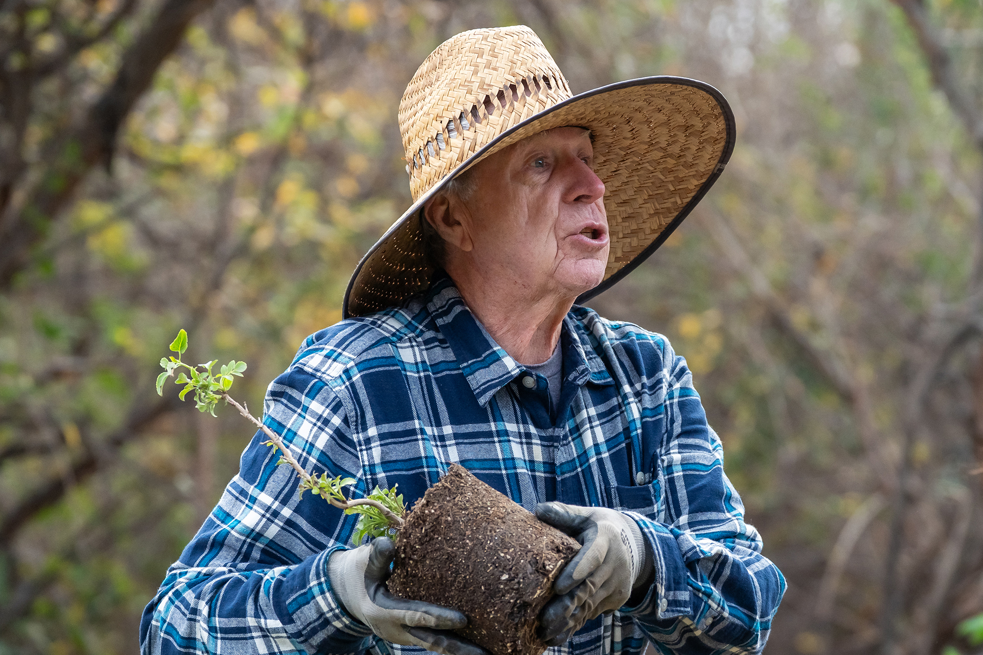 Volunteer Robert Grzesiak demonstrates how to plant native vegetation for...
