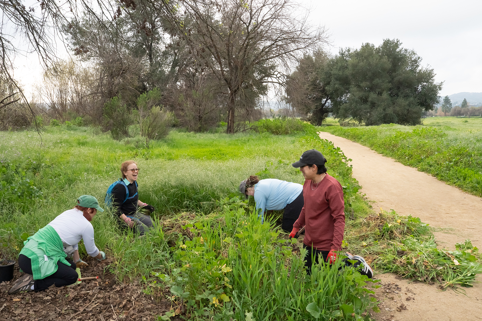 Volunteers remove invasive plants during a habitat restoration event at...