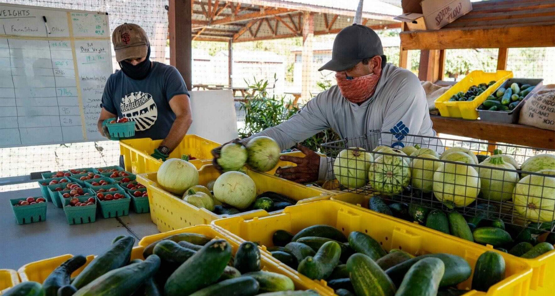 'A new level of challenge': San Jose nonprofit drastically reduces food aid amid fed cuts