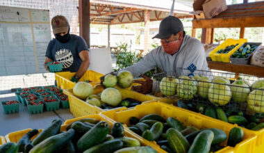 'A new level of challenge': San Jose nonprofit drastically reduces food aid amid fed cuts