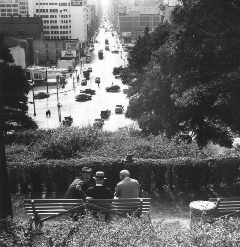 Four people sit on a bench overlooking a city street filled with cars in bright sunlight. Tall buildings line the street, and trees and bushes frame the foreground. The scene captures a calm urban moment.