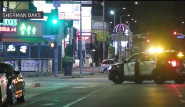 Man and dog killed in hit-and-run in Sherman Oaks – NBC Los Angeles