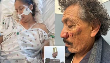California widower sues McDonald’s after wife Maria Vargas Luna dies following drive-thru attack