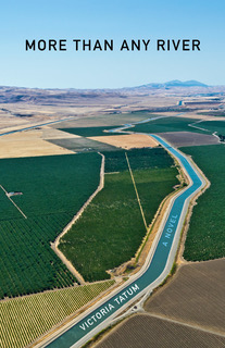 "More Than Any River," Victoria Tatum's second novel, comes out in March from She Writes Press.