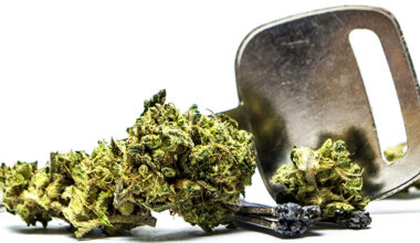 CA Supreme Court Sets Guidelines for Police on Cannabis in Vehicles