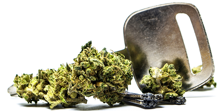 CA Supreme Court Sets Guidelines for Police on Cannabis in Vehicles