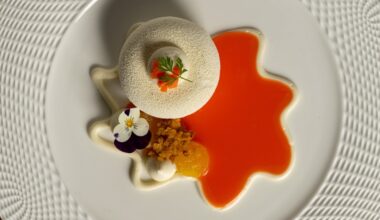 After 8 Months, Disney’s Napa Rose Returns With New Magic