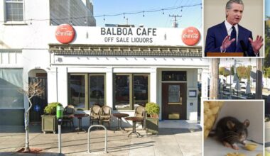 SF cafe tied to Newsom cited for mice droppings in food areas