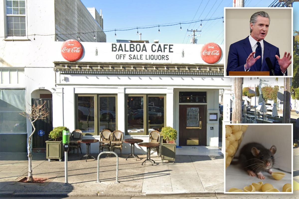 SF cafe tied to Newsom cited for mice droppings in food areas