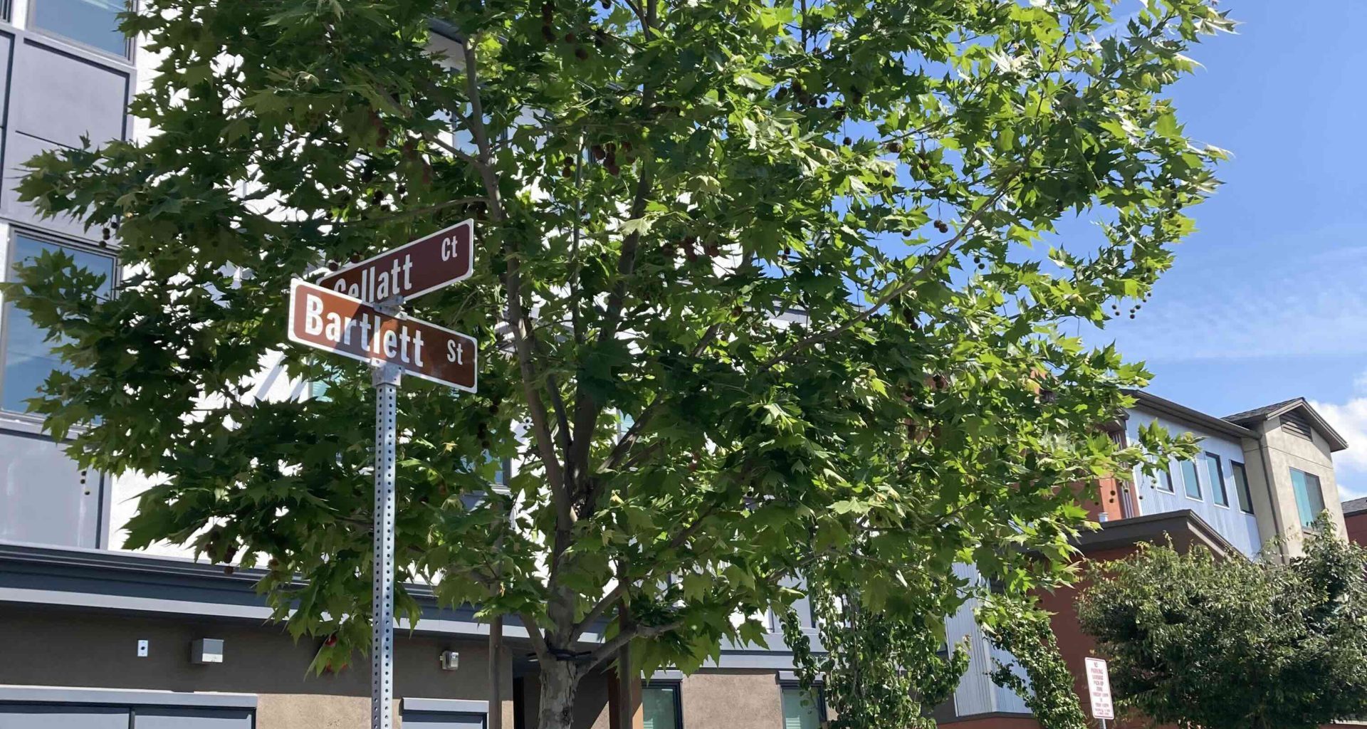 The North 40 Shell Game: a $250M betrayal | Los Gatan