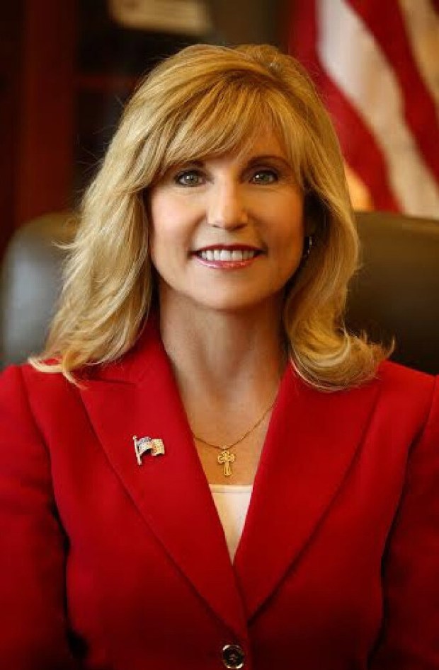 Assemblymember Laurie Davies (Photo courtesy of Laurie Davies' campaign)