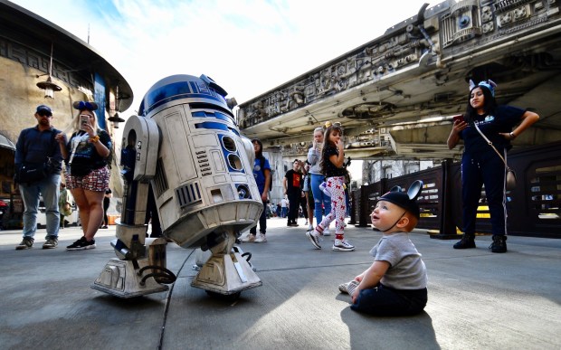 Ronan Chavez, 1, from Arizona, stares at R2-D2 as the droid roams around Star Wars Galaxy's Edge at Disneyland in Anaheim, CA, on Tuesday, Jan. 7, 2020. (Photo by Jeff Gritchen, Orange County Register/SCNG)