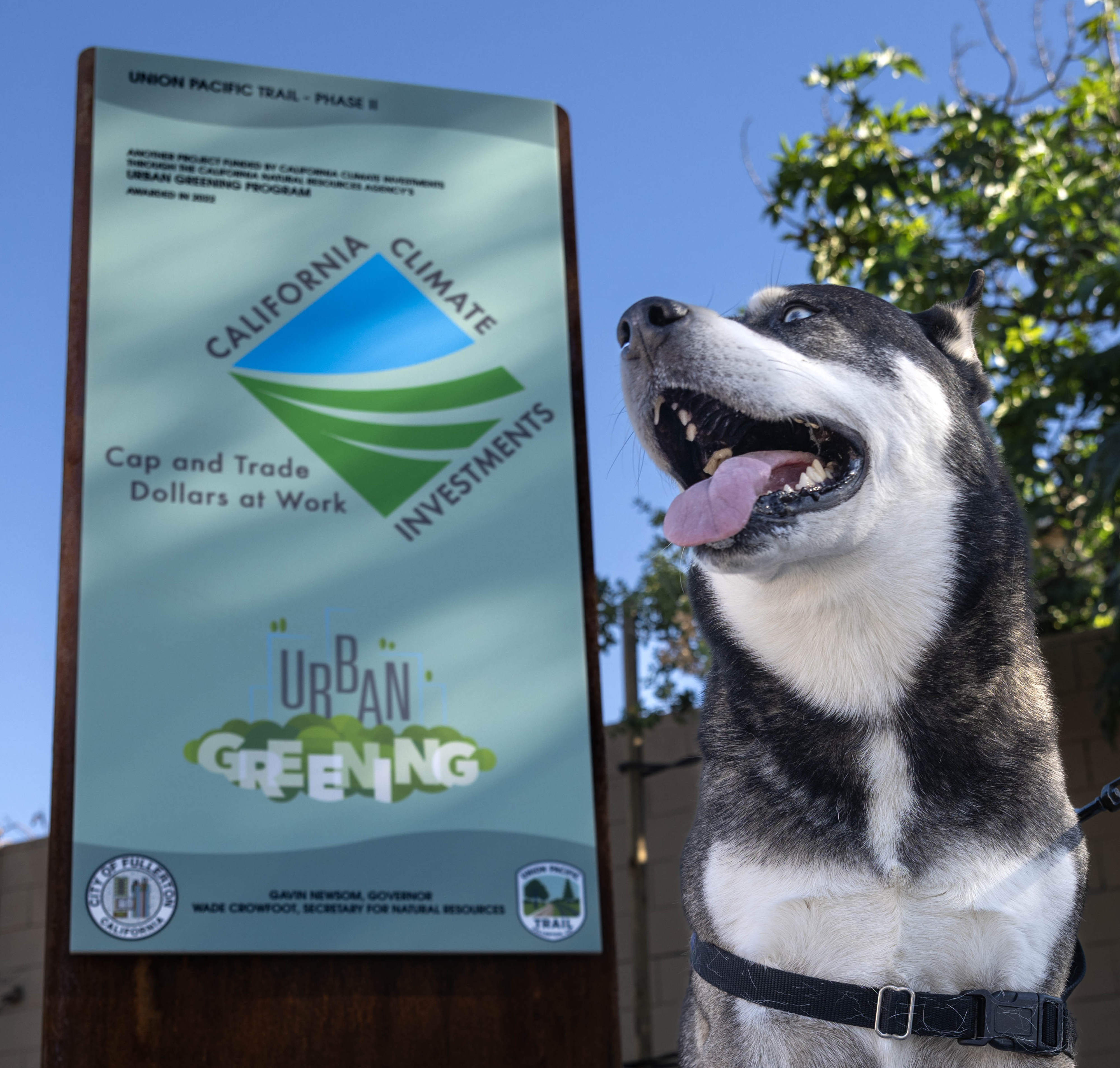 Brandon Binaâs dog, Cash, pauses at the entry point of...