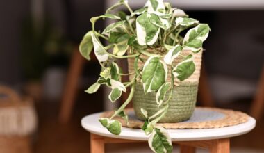 Campbell’s Heritage Theatre hosting a Petty Party – The Mercury News