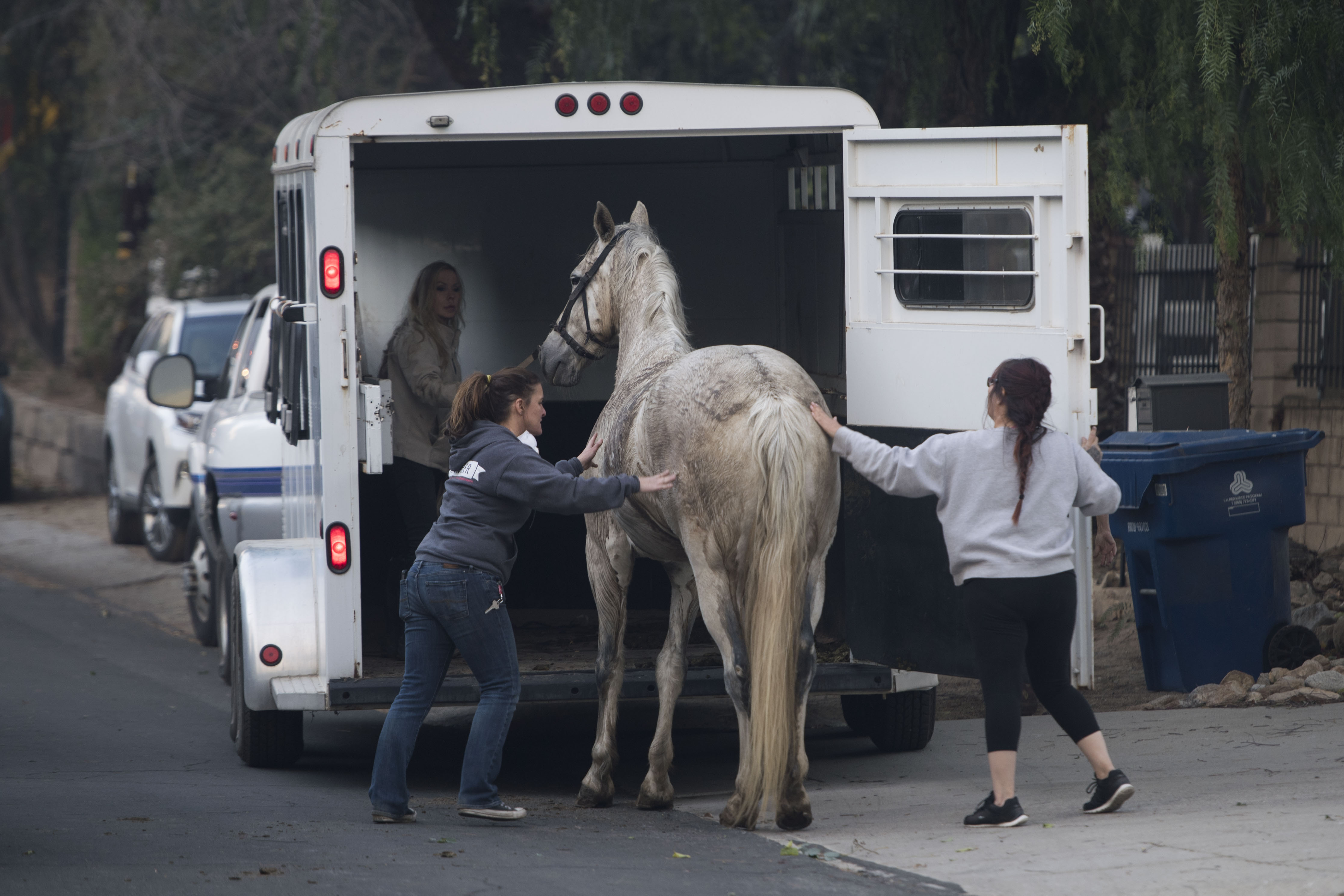 Residents evacuate horses in the Shadow Hills neighborhood as the...