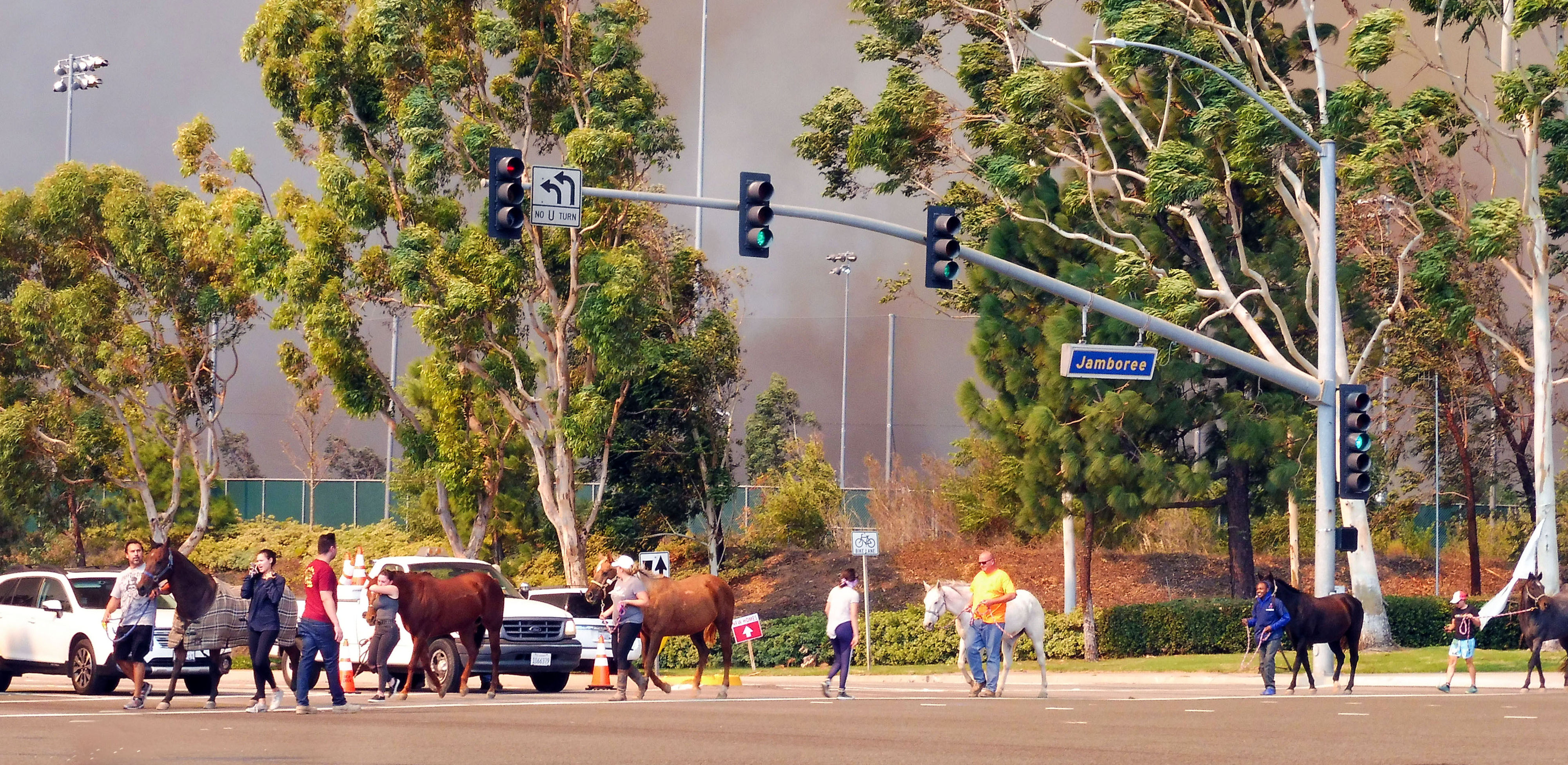 Horses being evacuated from the Canyon Fire 2 cross the...