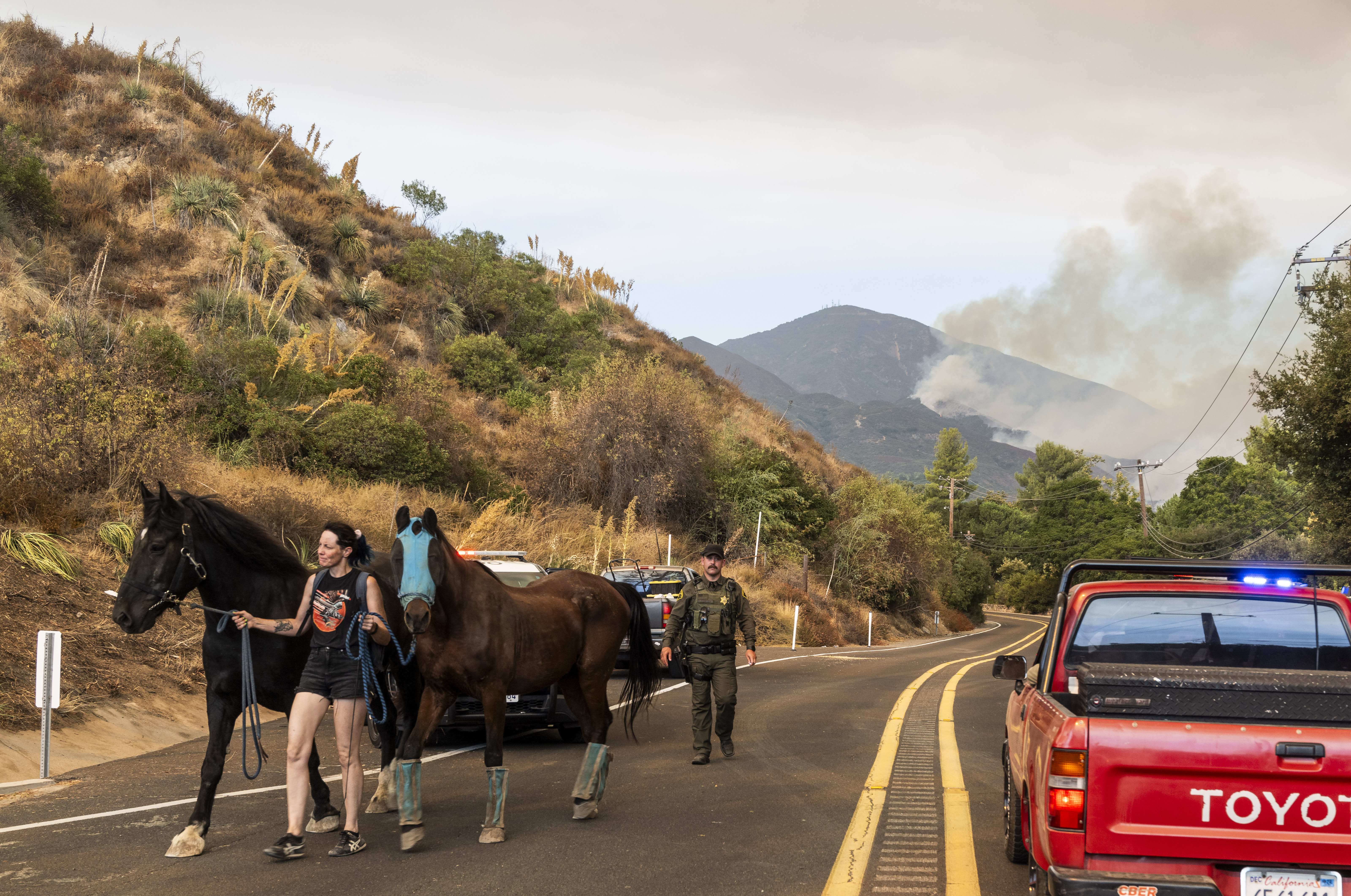 A woman takes horses to safety past a police barricade...